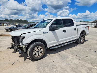 1FTEW1E50KF****** 2019 Ford F-150