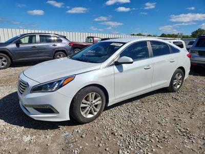 5NPE24AFXFH****** 2015 Hyundai Sonata