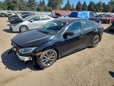 19XFC1F36LE****** 2020 Honda Civic