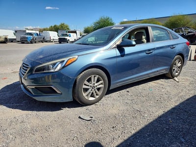 5NPE24AFXGH****** 2016 Hyundai Sonata