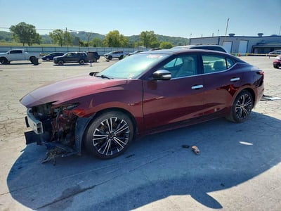 1N4AA6AP6GC****** 2016 Nissan Maxima