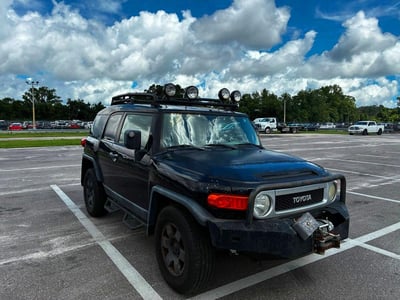 JTEBU4BF6AK****** 2010 Toyota FJ Cruiser
