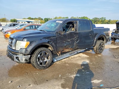 1FTFW1EVXAF****** 2010 Ford F-150