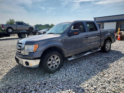 1FTRW12819F****** 2009 Ford F-150