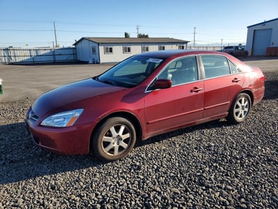 1HGCM66555A****** 2005 Honda Accord
