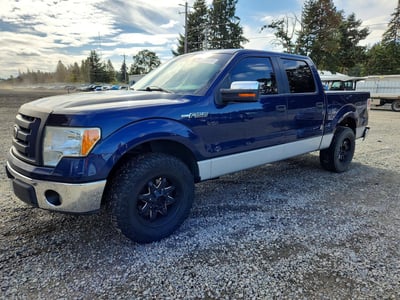 1FTRW12829F****** 2009 Ford F-150