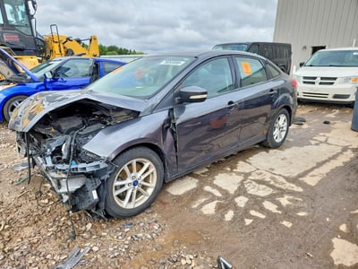 1FADP3F24GL****** 2016 Ford Focus