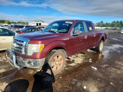 1FTPW14V79F****** 2009 Ford F-150