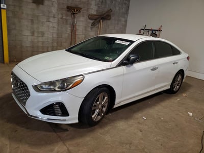 5NPE34AF8KH****** 2019 Hyundai Sonata