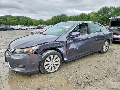 1HGCR2F73FA****** 2015 Honda Accord