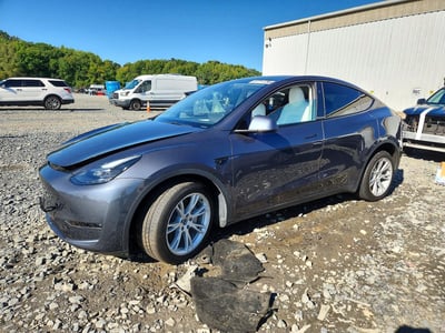 7SAYGDEE5PF****** 2023 Tesla Model Y