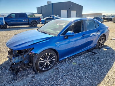 4T1C31AK8LU****** 2020 Toyota Camry Hybrid