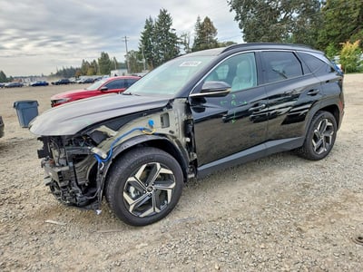 KM8JECA12PU****** 2023 Hyundai Tucson Hybrid