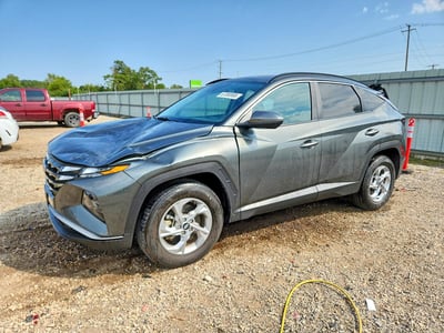 5NMJBCAE1PH****** 2023 Hyundai Tucson