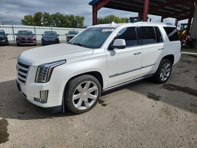1GYS4CKJXHR****** 2017 Cadillac Escalade