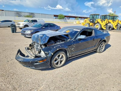 1ZVHT82HX65****** 2006 Ford Mustang