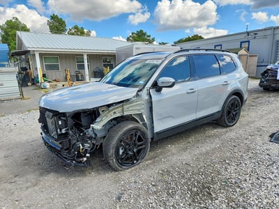 5XYP3DGC1SG****** 2025 Kia Telluride