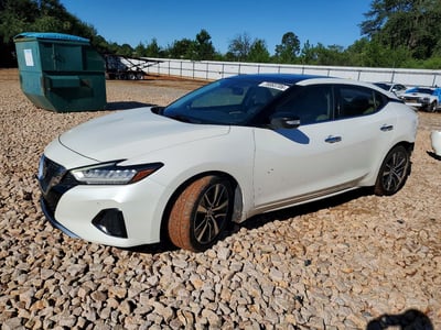 1N4AA6AV4KC****** 2019 Nissan Maxima