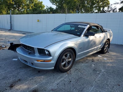 1ZVFT85H865****** 2006 Ford Mustang