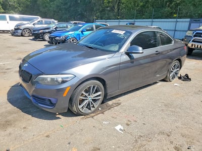 WBA2J1C51KV****** 2019 BMW 2 Series