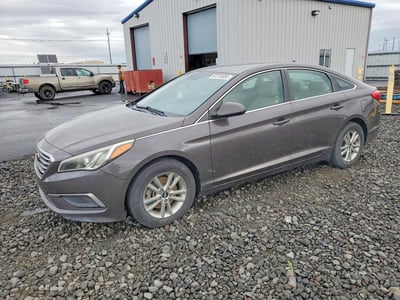 5NPE24AF2HH****** 2017 Hyundai Sonata