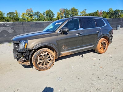 5XYP64GC0RG****** 2024 Kia Telluride