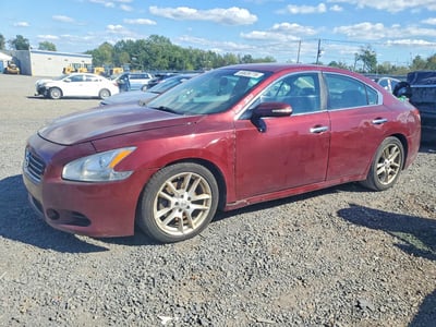 1N4AA5AP7AC****** 2010 Nissan Maxima