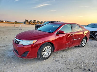 4T4BF1FK7DR****** 2013 Toyota Camry