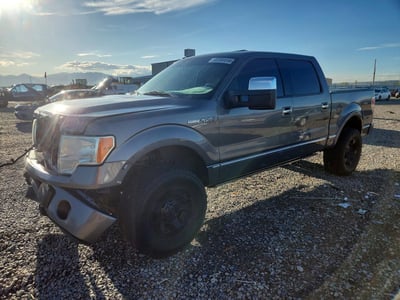 1FTFW1EV5AF****** 2010 Ford F-150