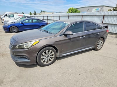 5NPE34AF6GH****** 2016 Hyundai Sonata