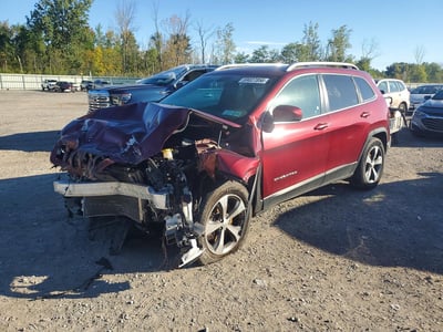 1C4PJMDX9KD****** 2019 Chrysler Cherokee