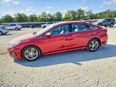 5NPE34AF6KH****** 2019 Hyundai Sonata