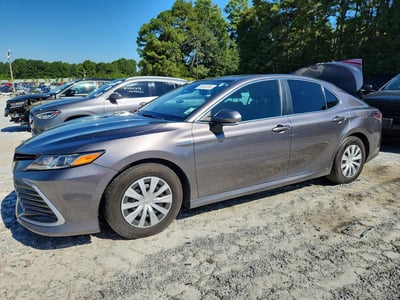 4T1C31AK8MU****** 2021 Toyota Camry