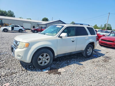 2010 Ford Escape