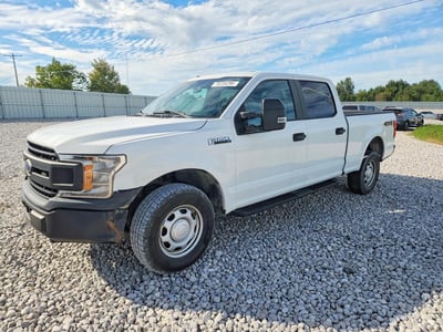 1FTFW1E50KF****** 2019 Ford F-150