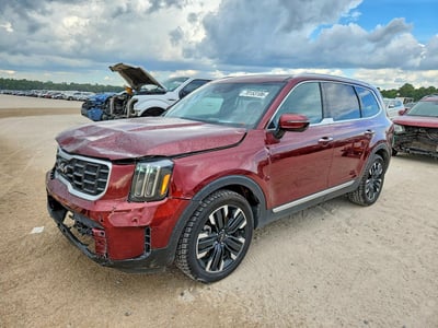 5XYP5DGC5RG****** 2024 Kia Telluride