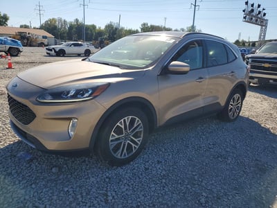 1FMCU9H63MU****** 2021 Ford Escape