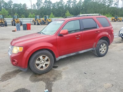 1FMCU0E79BK****** 2011 Ford Escape