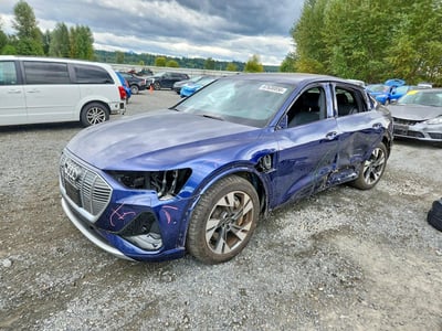WA12AAGE2PB****** 2023 Audi E-tron
