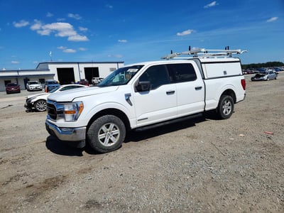 1FTFW1CD5NF****** 2022 Ford F-150