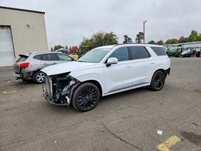 KM8R7DGE2SU****** 2025 Hyundai Palisade