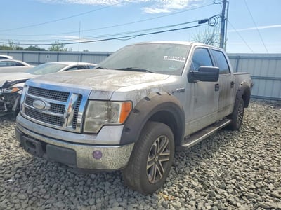 1FTRW14899F****** 2009 Ford F-150