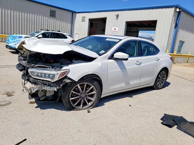 19UUB1F3XKA****** 2019 Acura TLX