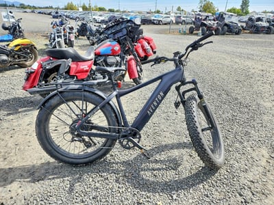 D35D1*** 2025 Bike Electric