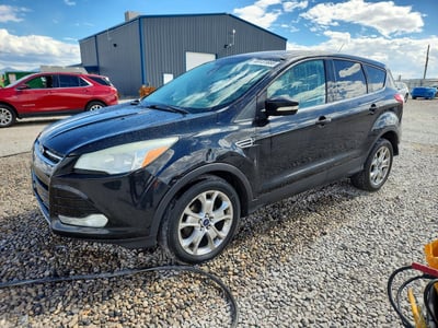1FMCU0HXXDU****** 2013 Ford Escape