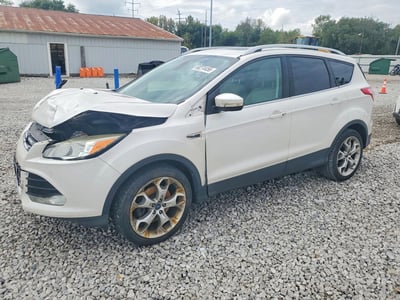 1FMCU9J93EU****** 2014 Ford Escape
