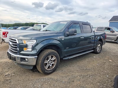 1FTEW1EG5FF****** 2015 Ford F-150