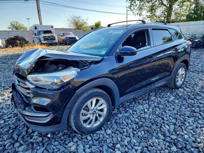 KM8J3CA4XGU****** 2016 Hyundai Tucson