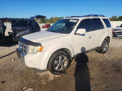 1FMCU0E71AK****** 2010 Ford Escape