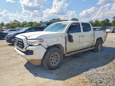 3TYCZ5ANXPT****** 2023 Toyota Tacoma